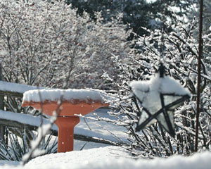 Winter Print