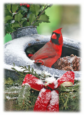 Christmas Art Greeting Card