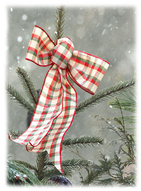 Hasty Note ... Christmas