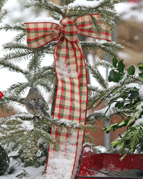 Matted Print . . . Christmas