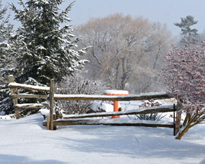 Matted Prints  . . . Winter