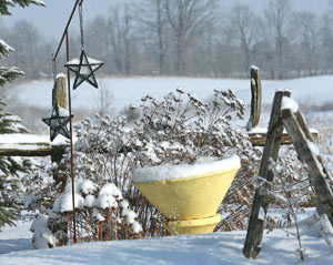 Matted Prints  . . . Winter