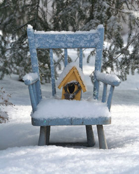 Matted Prints  . . . Winter