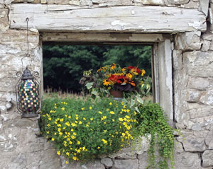 Prints . . . Barn