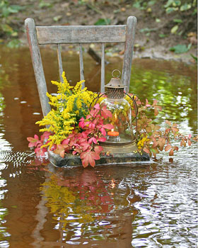 Prints . . . Spring, Summer and Fall