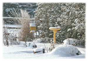 Winter Hasty Note