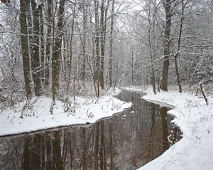 Matted Prints  . . . Winter