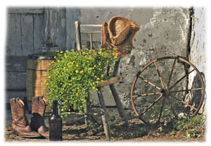 Hasty Note . . . Barn