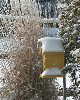 Matted Prints  . . . Winter