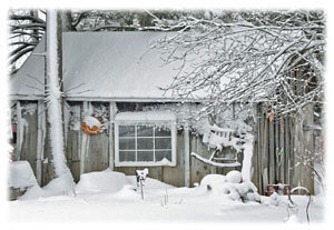 Hasty Note . . . Winter