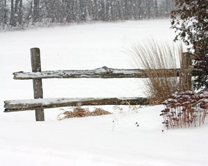 Matted Prints  . . . Winter