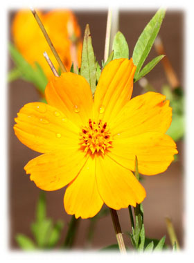 Hasty Note . . . Spring, Summer and Fall