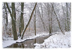 Hasty Note . . . Winter