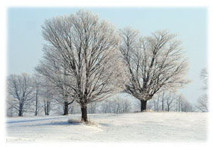 Hasty Note . . . Winter
