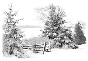 Hasty Note . . . Winter