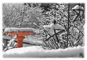 Hasty Note . . . Winter