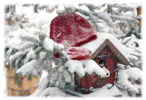 Hasty Note . . . Winter