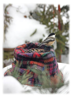 Bird on a hat ... Greeting Card