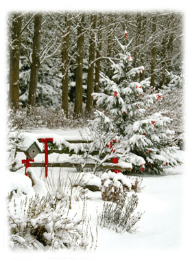 Christmas Hasty Note