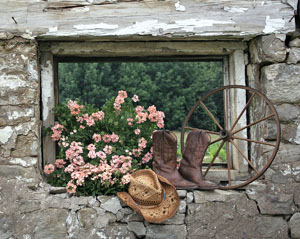 Prints . . . Barn