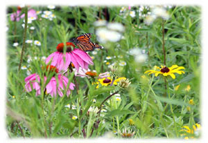 Hasty Note . . . Spring, Summer and Fall