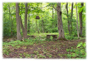 Hasty Note . . . Spring, Summer and Fall