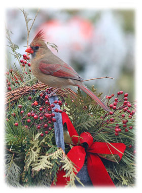 Christmas Hasty Note