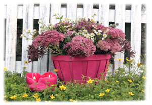 Hasty Note . . . Spring, Summer and Fall
