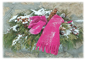 Hasty Note . . . Winter