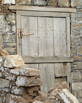 Prints . . . Barn