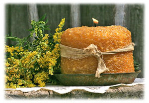 Hasty Note . . . Spring, Summer and Fall