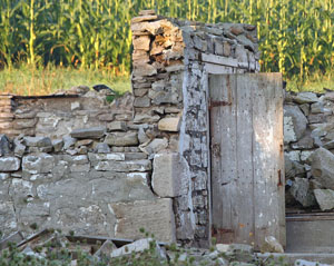 Prints . . . Barn