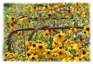 Hasty Note . . . Spring, Summer and Fall