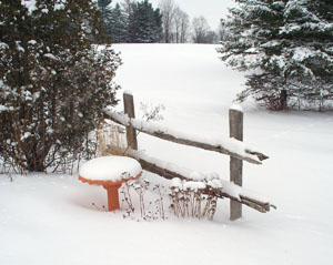 Matted Prints  . . . Winter