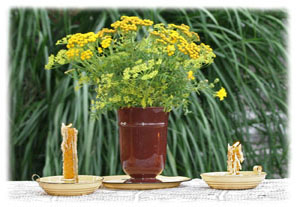 Hasty Note . . . Spring, Summer and Fall