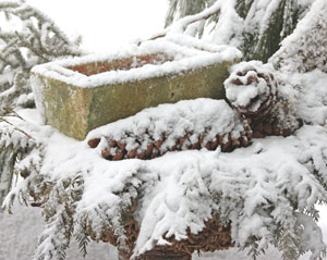 Matted Prints  . . . Winter