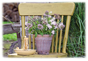 Hasty Note . . . Spring, Summer and Fall