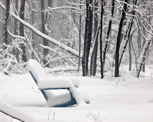 Matted Prints  . . . Winter