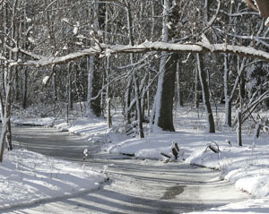 Matted Prints  . . . Winter