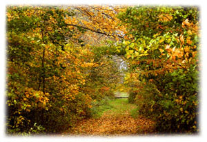 Hasty Note . . . Spring, Summer and Fall