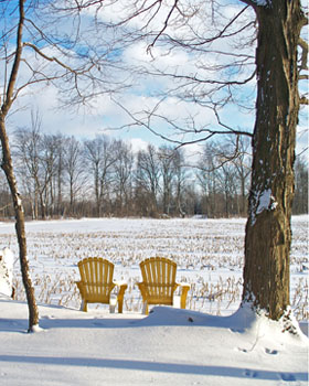 Winter Print