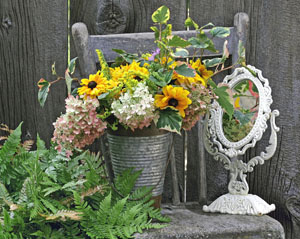 Prints . . . Spring, Summer and Fall