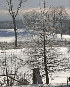 Winter Print