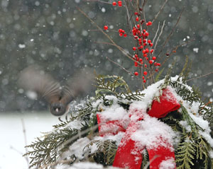 Matted Print . . . Christmas