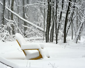Winter Print