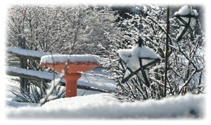 Winter Art Greeting Card