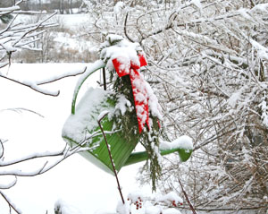 Matted Print . . . Christmas