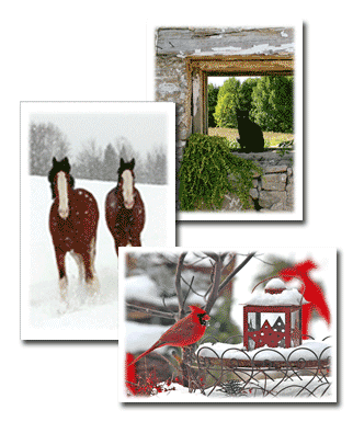 Barlow Creek Studio